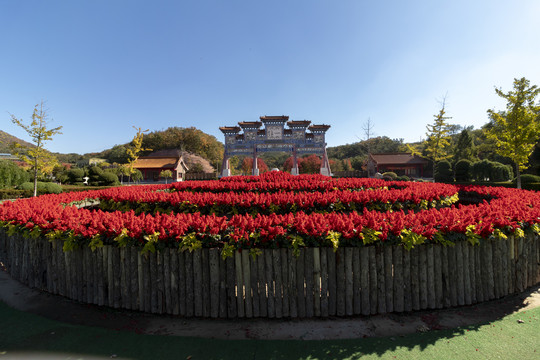 秋天的横山寺