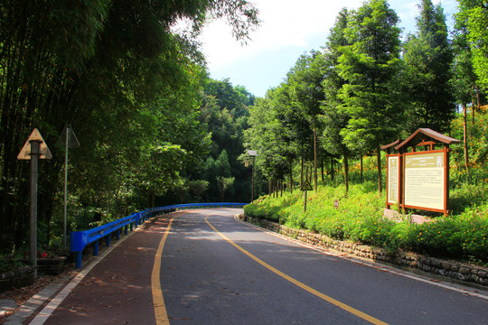 乡村公路景色宜人