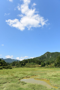 山区山脉草场放牧