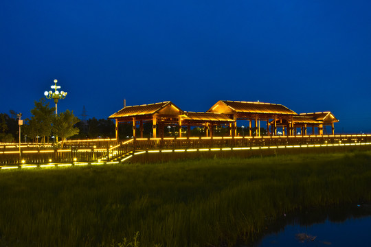 滨湖公园夜景