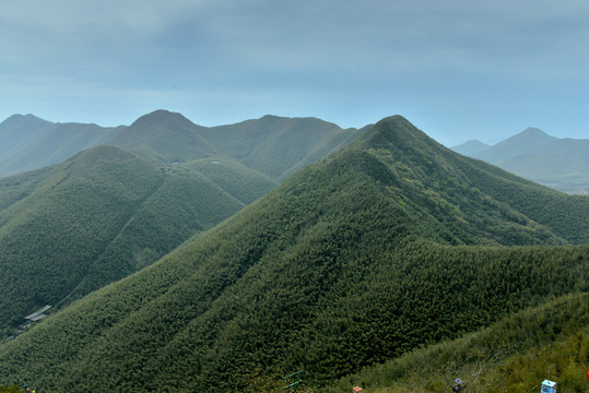 南山竹海