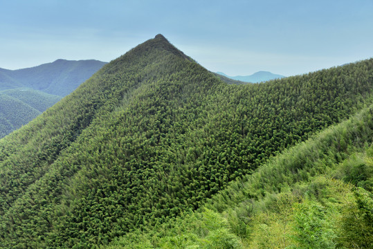 宜兴溧阳南山竹海