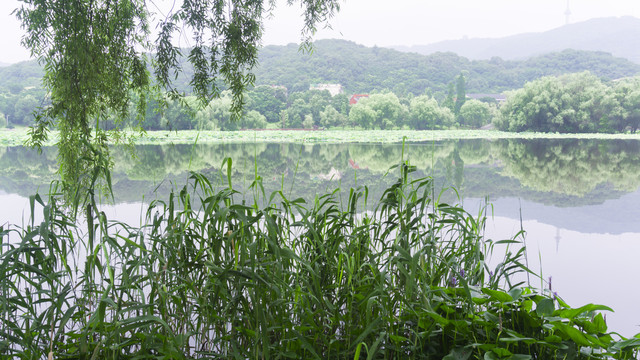 湖畔风情