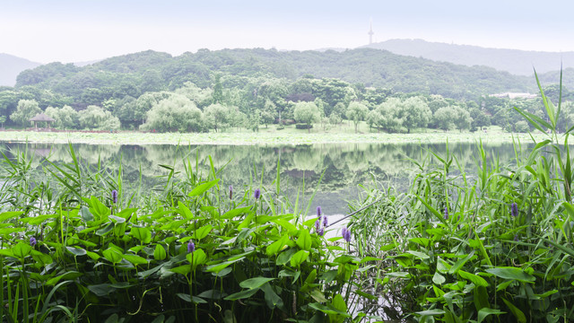 湖畔风采