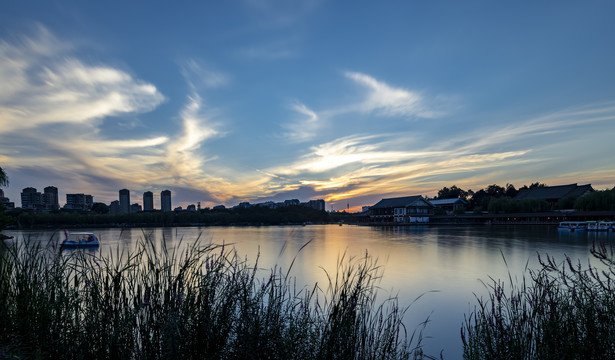 曲江池风景