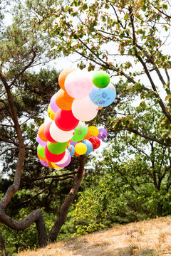 气球组成的装饰物