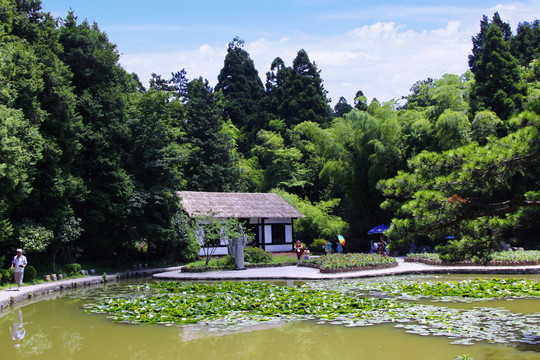 庐山白居易草堂