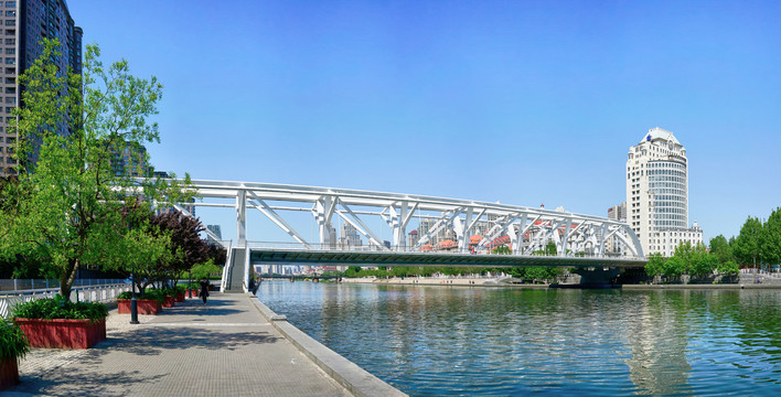 天津大沽桥全景大画幅