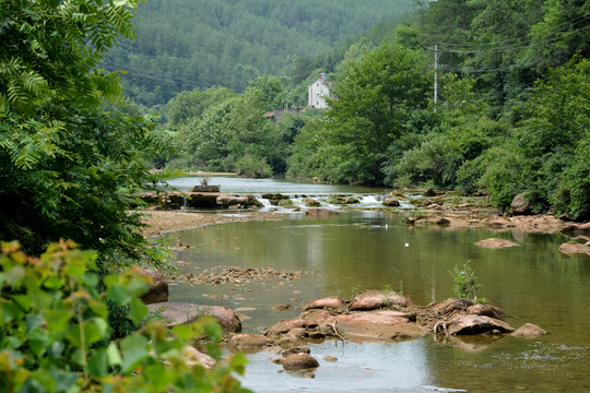 小溪湿地