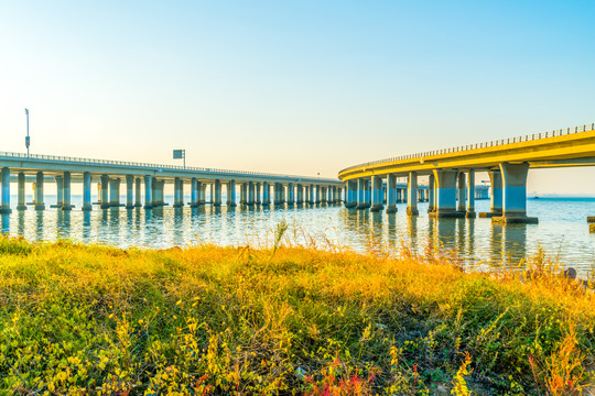 青岛跨海大桥