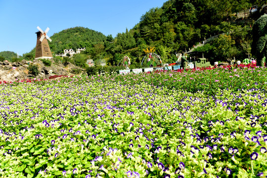 花草背景