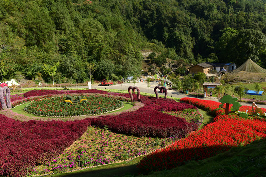 花海公园