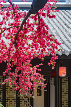 唯美中式建筑与花树