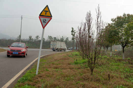 乡村公路