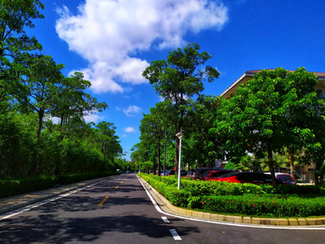 蓝天白云绿树道路