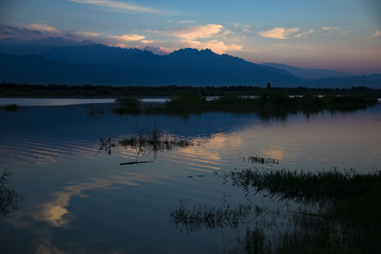 渭河湿地公园