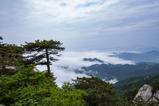 天柱山云海奇观