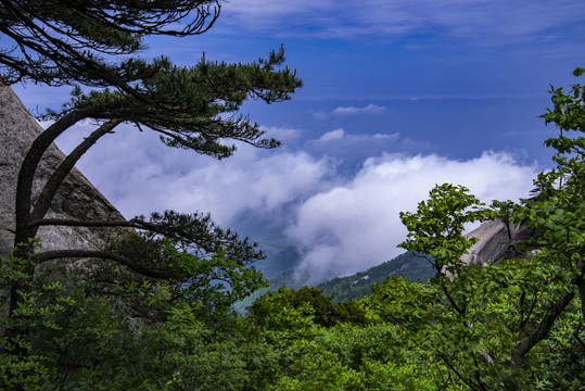 天柱山云海奇观