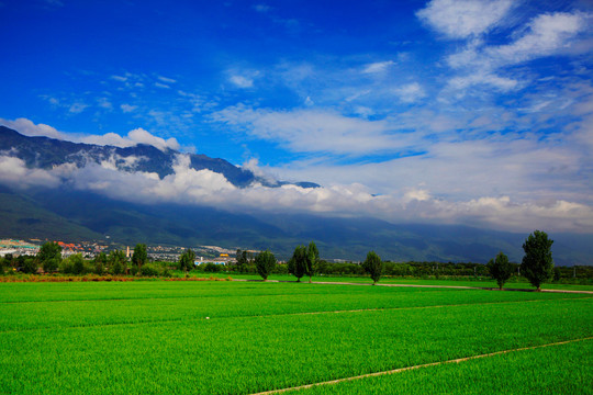 大理风景