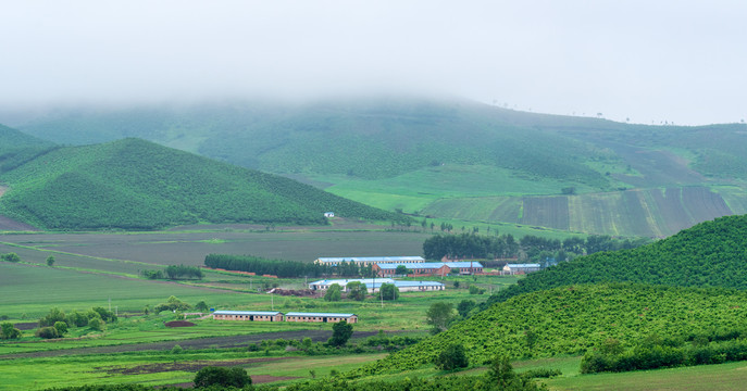 丘陵