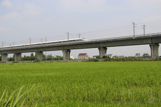 田野稻田高铁飞驰