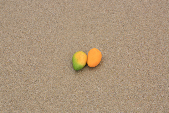 沙滩芒果