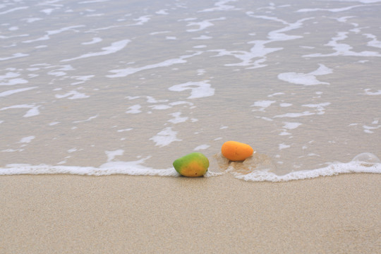 沙滩芒果