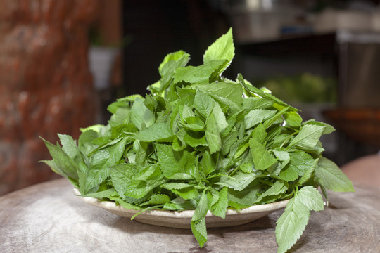 鬼针草野菜