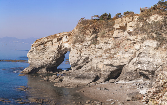 恐龙探海