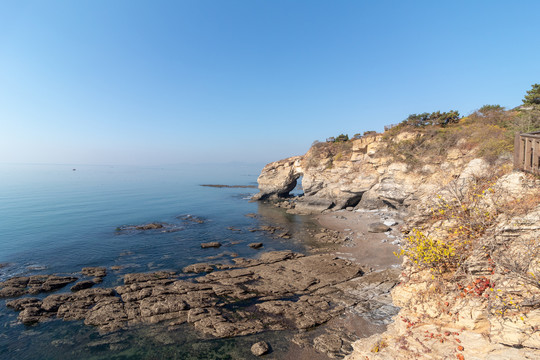 恐龙探海