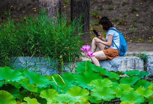 花季少女