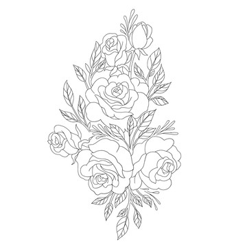 手繪白描花卉