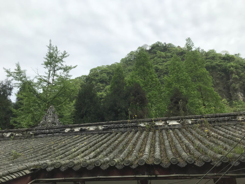 青城后山