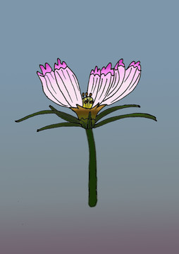 格?；ㄊ掷L插畫(huà)