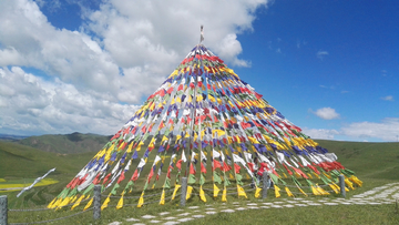 五彩卓尼
