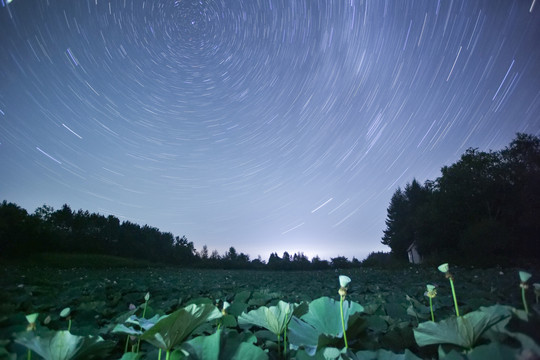 星軌