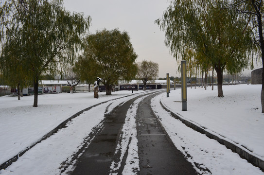 积雪的道路