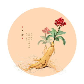 人參