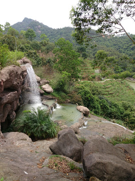 森林度假村景点