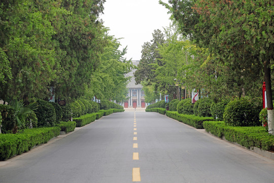 河南大学