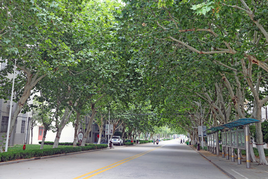 河南大学