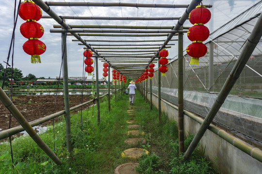 创意竹艺走廊