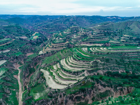 高原梯田