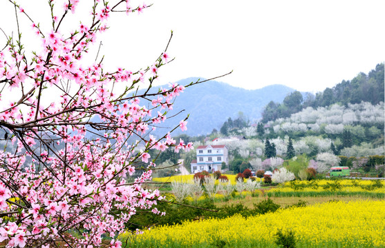 山乡风景