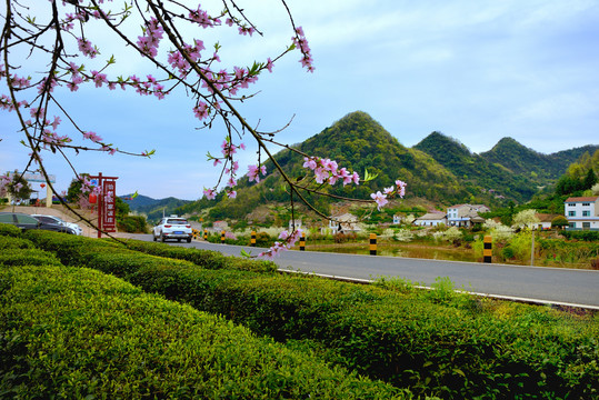 山乡风景