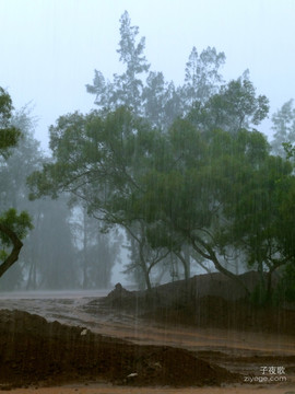 大雨滂沱