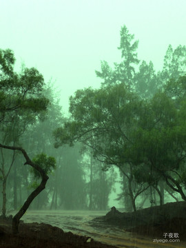 大雨滂沱