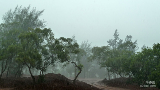 大雨滂沱