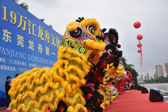 东莞龙舟节醒狮