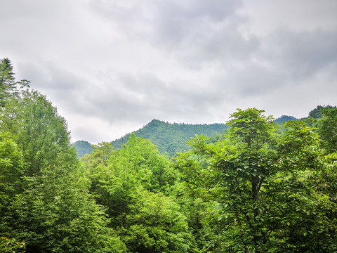 安康秦岭山脉